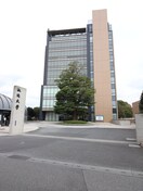 淑徳大学(大学/短大/専門学校)まで350m レディースコーポ