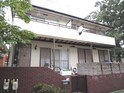 完成写真