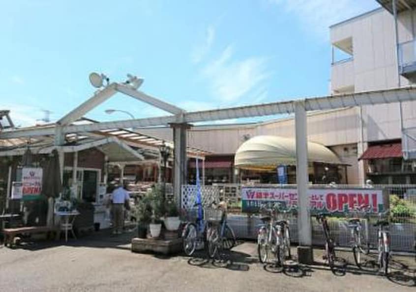 綿半スーパーセンター国分寺店(電気量販店/ホームセンター)まで700m 日吉コ－ポ
