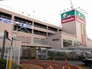 ホームセンター(電気量販店/ホームセンター)まで528m カーサアストレア東戸塚