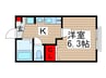 パームツリー 1Kの間取り