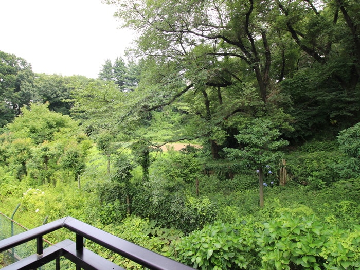 室内からの展望 エステ－ト京塚Ⅱ