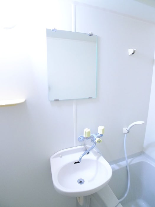 洗面 イイノガ－デンビル