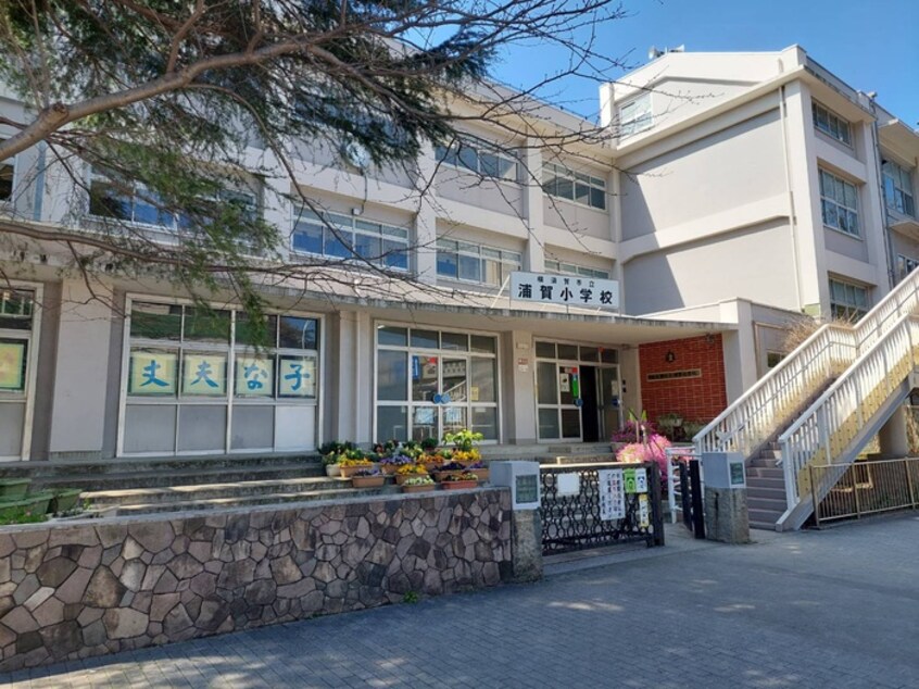 横須賀市立浦賀小学校(小学校)まで605m 浦賀駅二葉2丁目戸建て