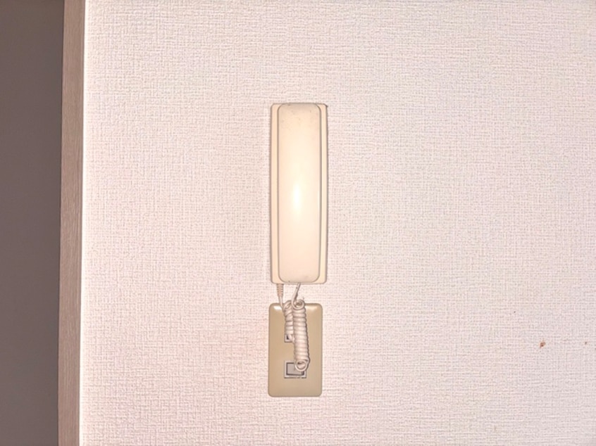 内観写真 エクセル稲田