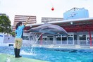 しながわ水族館(美術館/博物館)まで713m Ｕｒｂａｎ　Ｌｉｎｋ大森海岸