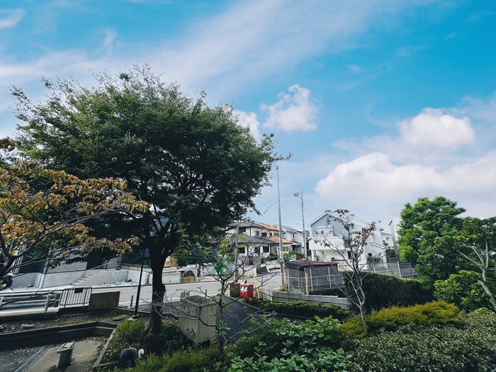 室内からの展望 保土ヶ谷西ﾊﾟｰｸ･ﾎｰﾑｽﾞ(306)