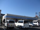 ローソン(コンビニ)まで770m パーシモンコート