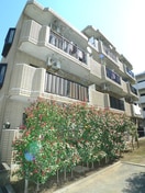 その他 ロイヤル