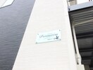 その他 プリマヴェーラ