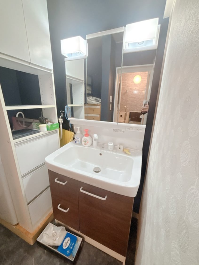 洗面 馬引沢一丁目戸建