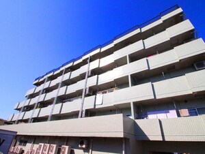 ロイヤル・ハイネス(306)