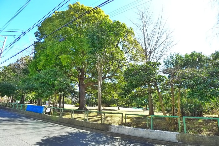 周辺環境 公園通り１号館わんわん