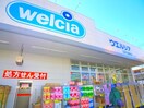 ウェルシア(ドラッグストア)まで895m 公園通り１号館わんわん