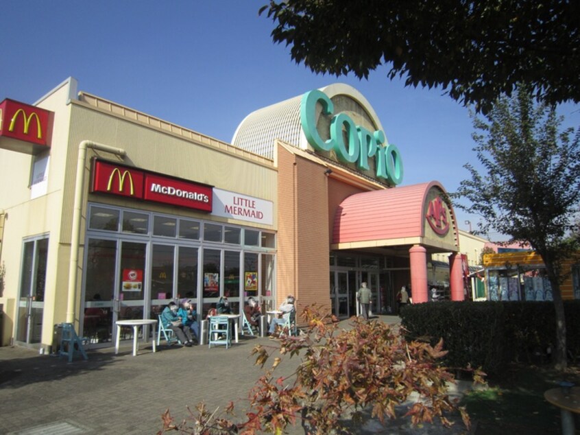 アルプス(スーパー)まで543m ロ－ズクラヴィエ