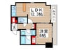Alpha Prime　日本橋　EAST 1LDKの間取り