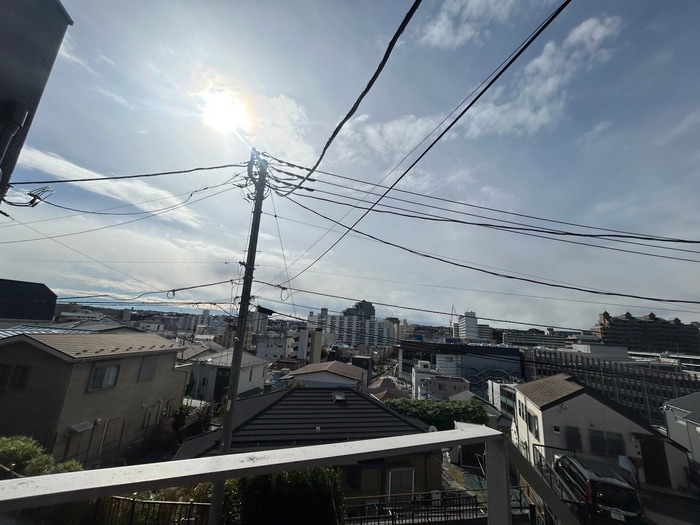 その他 モンペリエ