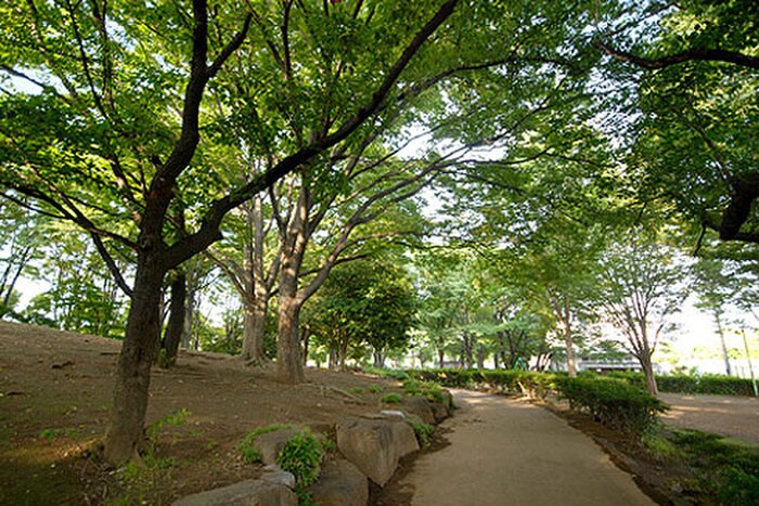 上仲原公園(公園)まで545m 清水コ－ポＣ