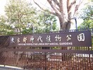 神代植物公園(公園)まで110m コ－ポ玉喜