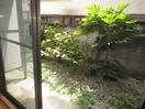 室内からの展望 ＵＴＹ朝日ハイツ