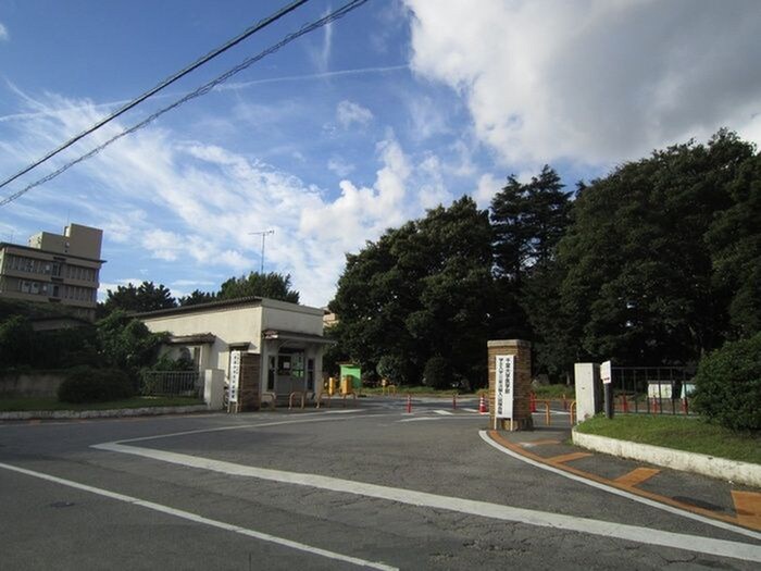 千葉大学亥鼻キャンパス(大学/短大/専門学校)まで850m タウンコート花澤