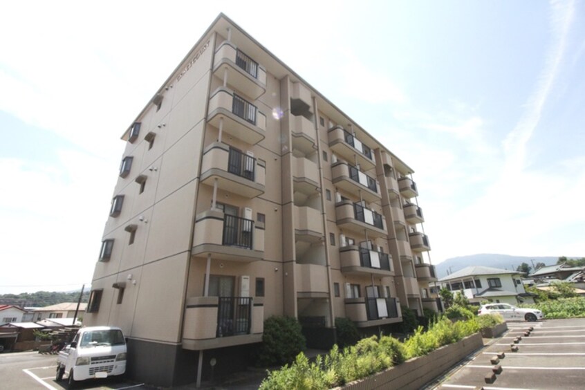 その他 グレイスコート