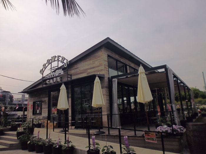 カフェ(カフェ)まで495m アメニティ－Ｆ＆Ｍ Ｄ棟