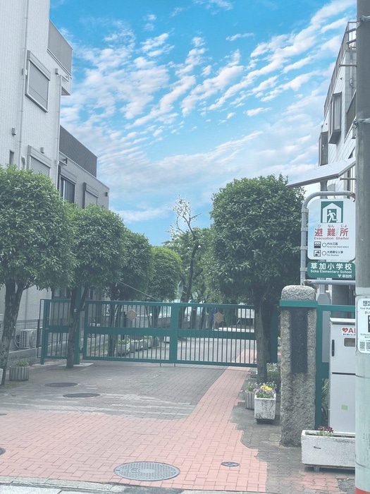 草加市立草加小学校(小学校)まで400m ピエ－ル草加