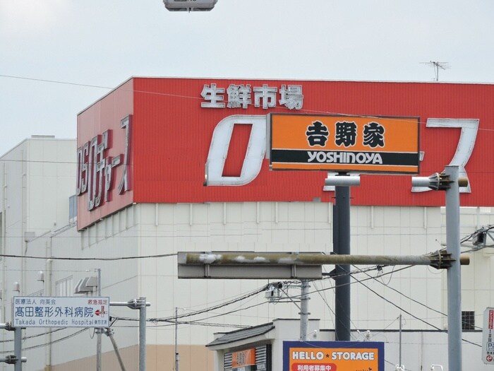 ロジャース(スーパー)まで1200m ロイヤルビレッジ