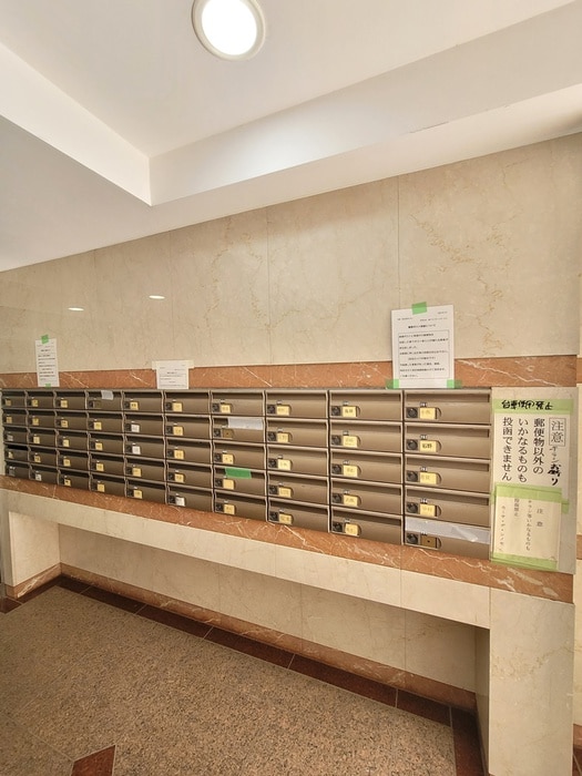 その他 カ－サデシノセ