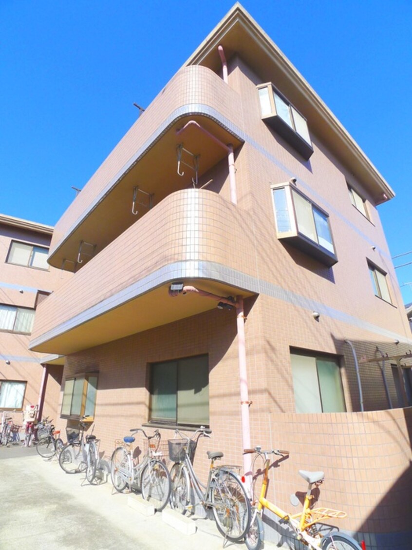 その他 ＳＵＮＨＩＬＬＳ　ＷＡＲＡＢＩ
