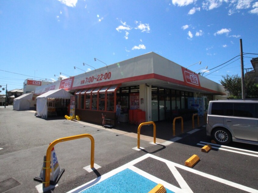 イオンビッグ(スーパー)まで787m ブリリアＥ