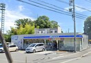 ローソン 伊勢原岡崎店(コンビニ)まで366m フローレス岡崎A