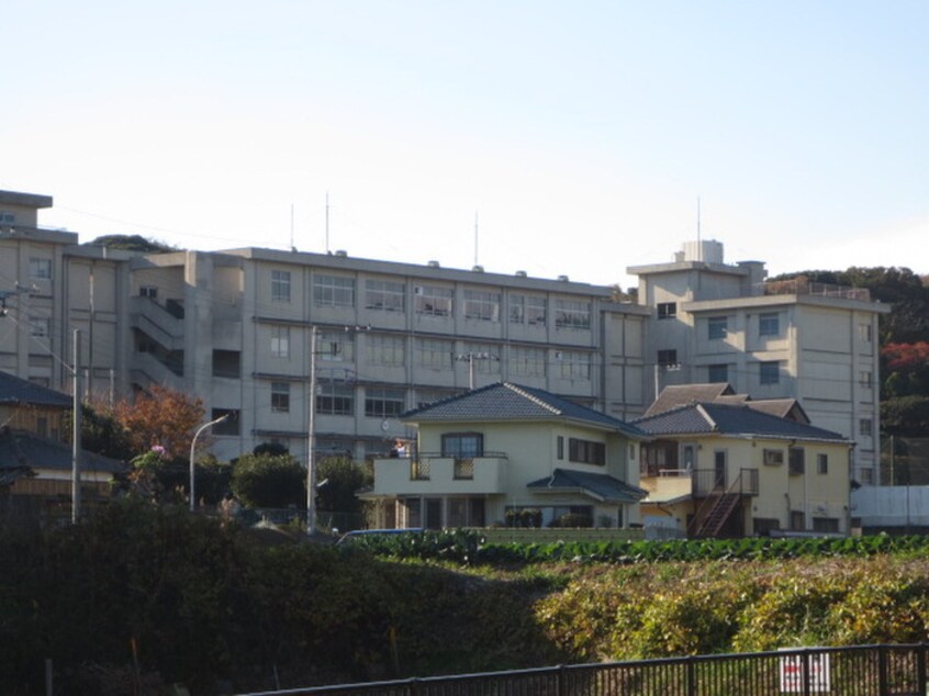 神奈川県立津久井浜高校(高等学校/高等専門学校)まで350m 仲友ビル