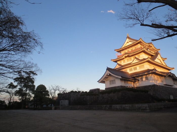 亥鼻公園(公園)まで685m フォレストツインハウスⅡA棟