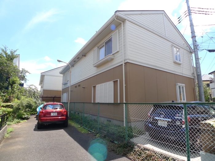 その他 ベッヒラインB