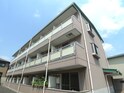 完成写真