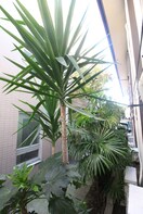 室内からの展望 メゾン日東