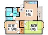 ダイセンハイム 2DKの間取り