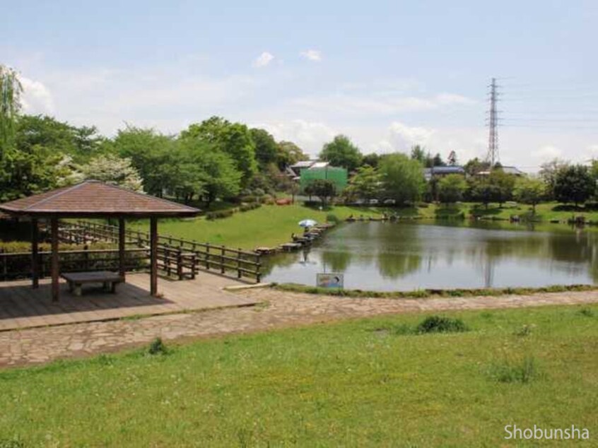 西城沼公園(公園)まで200m 椿山貸家