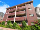 新世ふじみ野マンションの外観