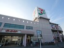 イトーヨーカドー(スーパー)まで1100m サンヒルズＮｏ．２