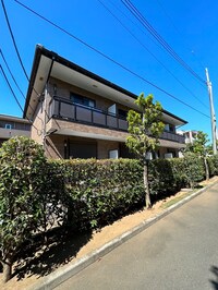 Ｈ、ハニ－