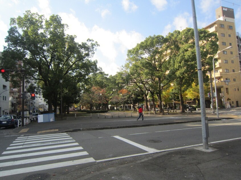 横浜公園(公園)まで800m ﾗｲｵﾝｽﾞﾌﾟﾗｻﾞ横浜大通公園(207)