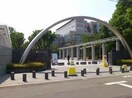 東京農工大学 小金井キャンパス(大学/短大/専門学校)まで500m ﾆｭｰｵﾘｴﾝﾄ小金井(108)