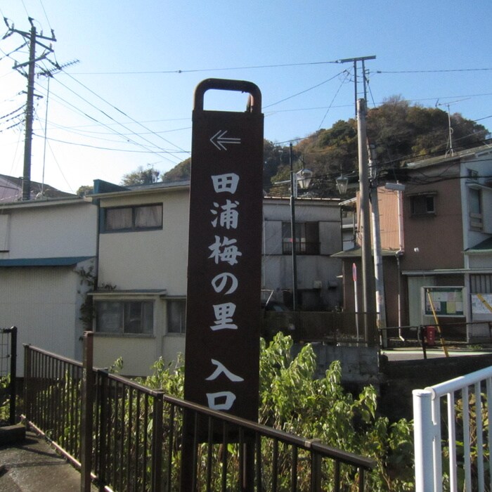 田浦梅の里(公園)まで686m 池田アパ－ト