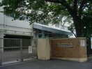 横浜市立初音が丘小学校(小学校)まで346m エスポワ－ル保土ヶ谷