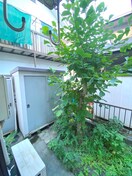 室内からの展望 メゾン・カルガ