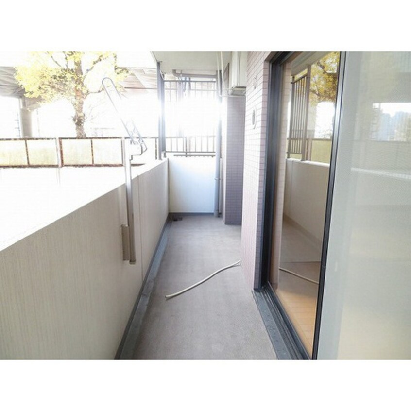 ベランダ・バルコニー ｻﾝｸﾚｲﾄﾞﾙﾚｳﾞｨｰﾙ池袋（301)