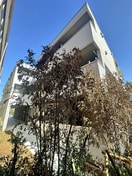 外観写真 セレスティア東葛西Ⅰ